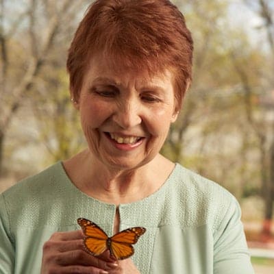 Maxine Butterfly ID2.2.2a min