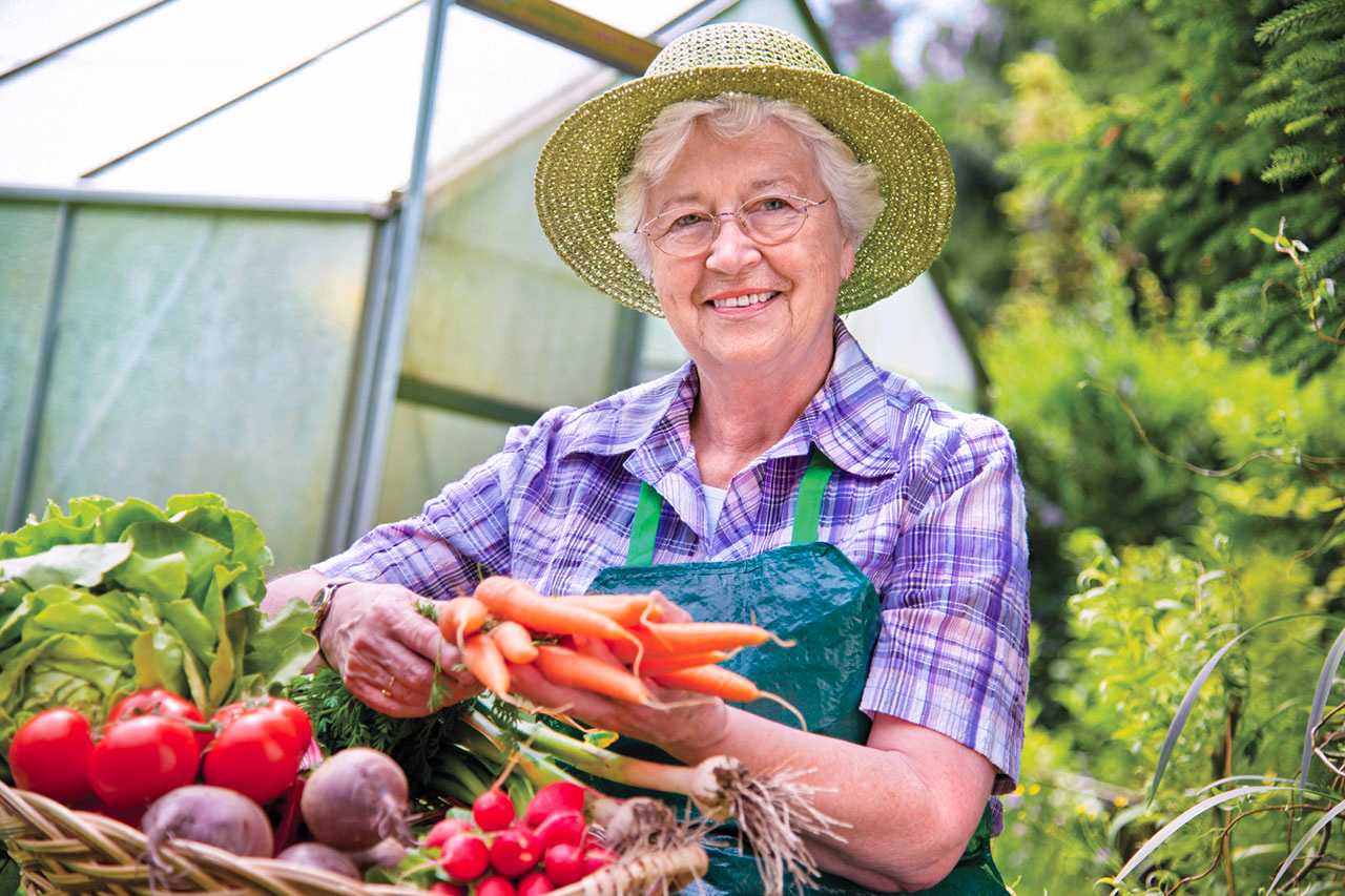 gardening carrots pic for np postcards 1